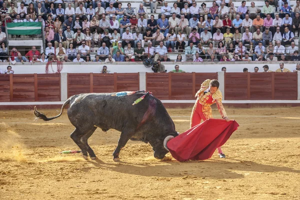 Der spanische stierkämpfer antonio ferrera stierkampf mit der cr — Stockfoto