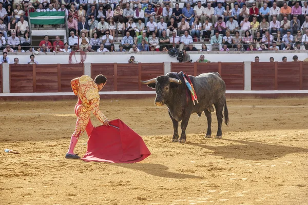 The Spanish Bullfighter Antonio Ferrera bullfighting with the cr — Stock Photo, Image