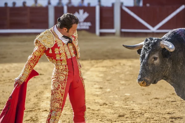 O toureiro espanhol Antonio Ferrera touradas com o cr — Fotografia de Stock