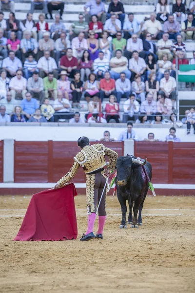 İçinde koltuk değneği ile İspanyol Boğa güreşçisi El Fundi'nin boğa güreşi — Stok fotoğraf