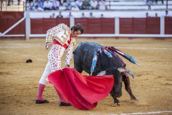 O toureiro espanhol Juan Jose Padilla touradas com o — Fotografia de Stock