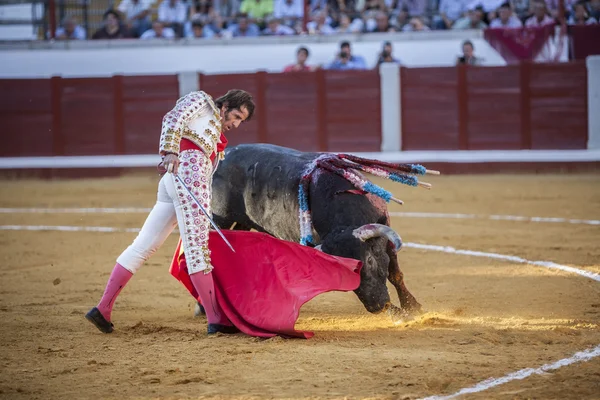 El torero español Juan José Padilla taurina con el — Foto de Stock