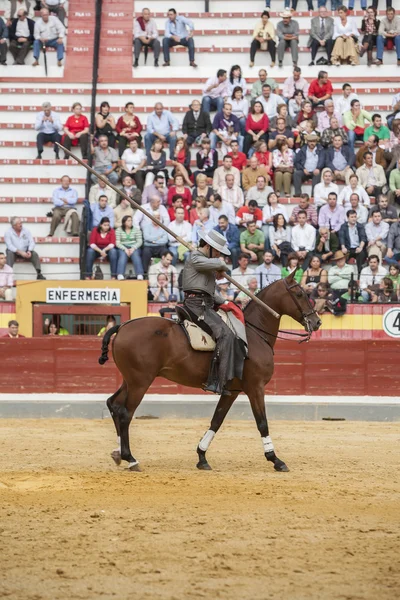 Alvaro montes, stierenvechter op een paard Spaanse heks garrocha ( — Stockfoto