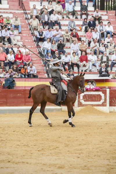 Alvaro montes, tjurfäktare på hästryggen spanska häxan garrocha ( — Stockfoto