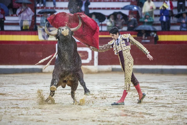 Il torero spagnolo Sebastian Castella durante un pomeriggio piovoso — Foto Stock
