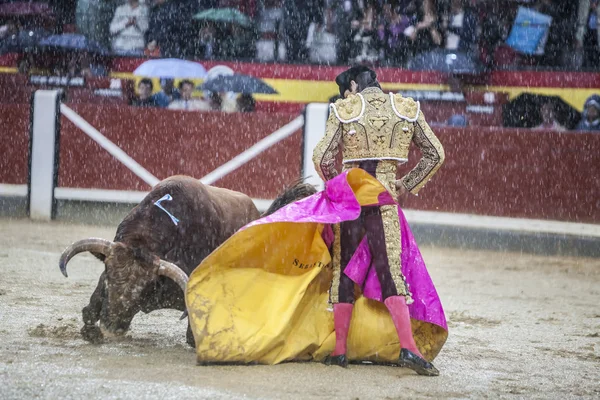 Hiszpański torreador Sebastian Castella podczas deszczowej po — Zdjęcie stockowe
