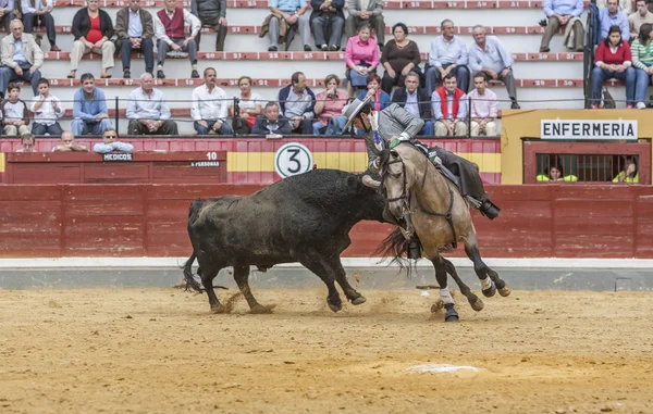 アルバロ モンテス、馬に乗って闘牛士スペイン語、ハエン、スペイン — ストック写真