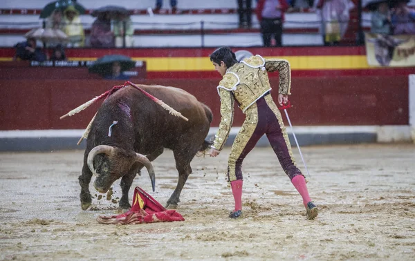 Il torero spagnolo Sebastian Castella durante una corrida pomeridiana piovosa con la stampella nell'arena di Jaen, Spagna — Foto Stock