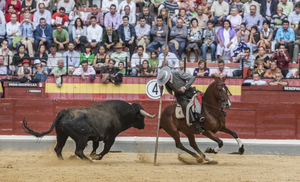 Alvaro Montes, bullfighter on horseback spanish witch garrocha ( — Stock Photo, Image