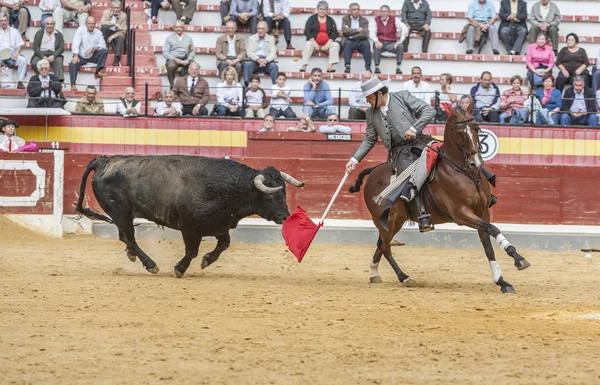 Alvaro Montes, toreador na koni španělsky, Jaen, Španělsko — Stock fotografie