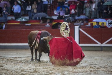 İspanyolca Boğa güreşçisi Sebastian Castella Jaen, İspanya Bullring koltuk değneği ile yağmurlu bir öğleden sonra boğa güreşi sırasında