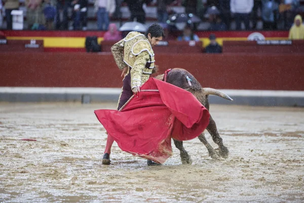 De Spaanse stierenvechter Sebastian Castella tijdens een regenachtige middag stierenvechten met de kruk in het Plaza de Toros Jaen, Spanje — Stockfoto