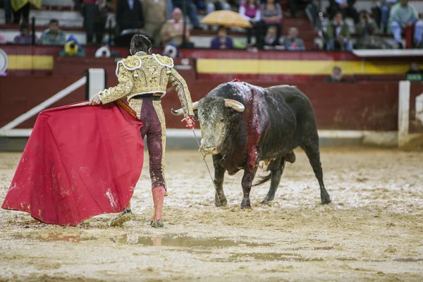 The Spanish Bullfighter Sebastian Castella during a rainy afternoon bullfighting with the crutch in the Bullring of Jaen, Spain — Stock Photo, Image