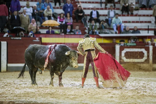 Der spanische Stierkämpfer sebastian castella während eines regnerischen Nachmittags Stierkampf mit der Krücke in der Stierkampfarena von Jaen, Spanien — Stockfoto