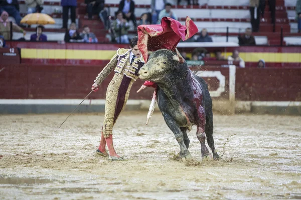 El torero español Sebastian Castella durante una tarde lluviosa con la muleta en la Plaza de Toros de Jaén, España —  Fotos de Stock