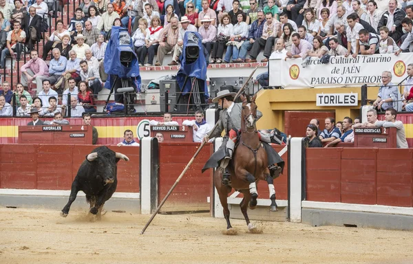 アルバロ モンテス、乗馬スペイン魔女 garrocha の闘牛士 ( — ストック写真