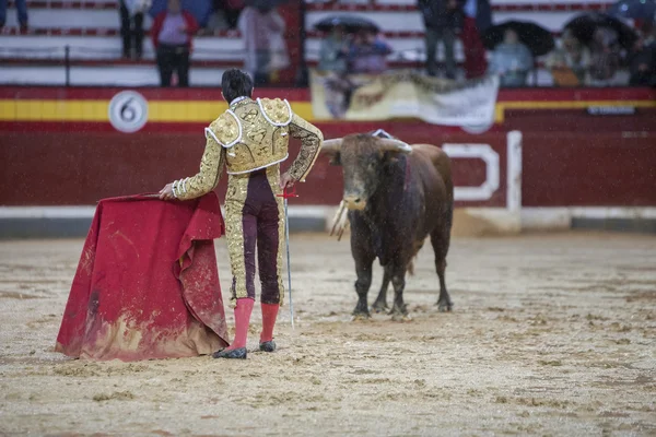 A spanyol a híres bikaviador Sebastian Castella során egy esős délut — Stock Fotó