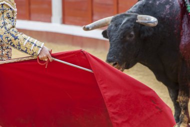 Bullring, İspanya içinde koltuk değneği ile Boğa güreşçisi boğa güreşi