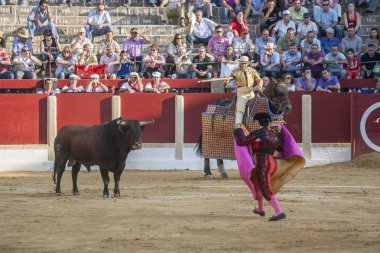 Picador Boğa güreşçisi, işi Bull'un nec zayıflatmak için olan lancer