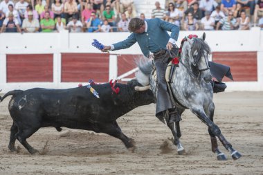At sırtında İspanyol boğa güreşçisi Fermin Bohorquez boğa güreşi o