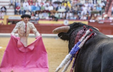 Boğa güreşçisi capote veya cape Bullring Jaen, İspanya