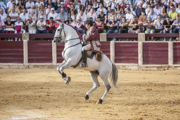 馬に乗ってポルトガルの闘牛選手ジョアン・モウラ闘牛で — ストック写真
