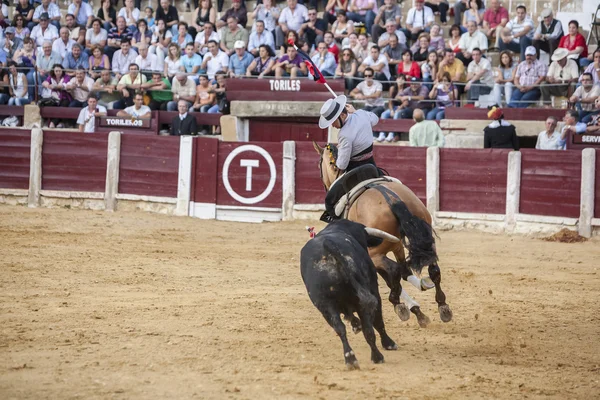 Hiszpański bullfighter na koniu Leonardo Hernandez walki byków — Zdjęcie stockowe