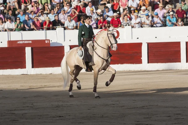 Hiszpański bullfighter na koniu Diego Ventura walki byków na h — Zdjęcie stockowe