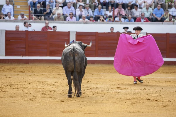 Bullfighter met de Capote of Cape in de stierenvechtersarena van Pozoblanc — Stockfoto