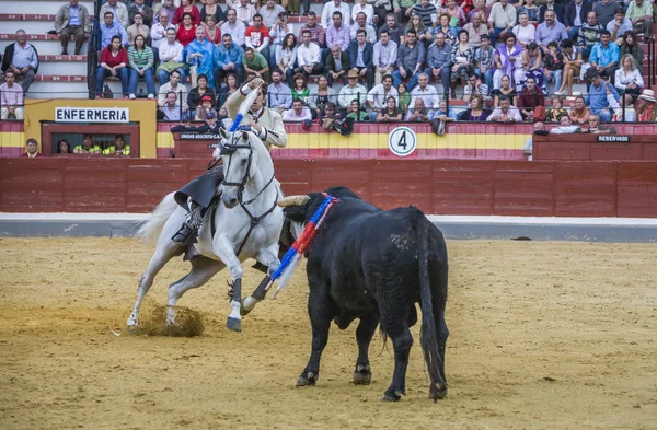 Toureiro espanhol a cavalo Diego Ventura touradas em h — Fotografia de Stock