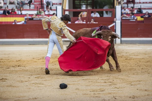 O toureiro espanhol Curro Diaz touradas com a muleta no Bullring de Jaen, Espanha — Fotografia de Stock
