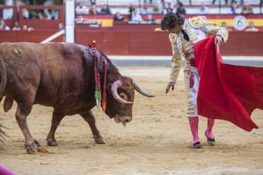 Jaen, İspanya Bullring koltuk değneği ile İspanyol Boğa güreşçisi Curro Diaz boğa güreşi