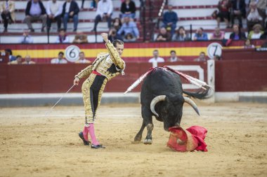 İspanyol Boğa güreşçisi Cesar Jimenez paseillo veya Jaen Arena, İspanya, ilk geçit boğa güreşi bekleyen sokakta