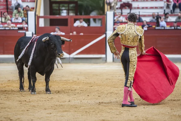 Torero español César Jiménez en el callejón esperando en el paseillo o desfile inicial de toros en la plaza de toros de Jaén, España —  Fotos de Stock