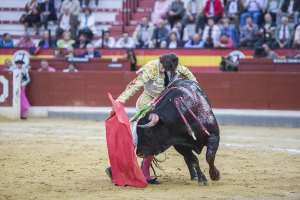 Il torero spagnolo Curro Diaz corrida con la stampella nel Bullring di Jaen, Spagna — Foto Stock