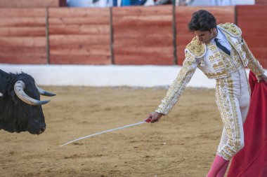 İspanyolca Boğa güreşçisi Curro ile kamu tebrik Diaz onun 