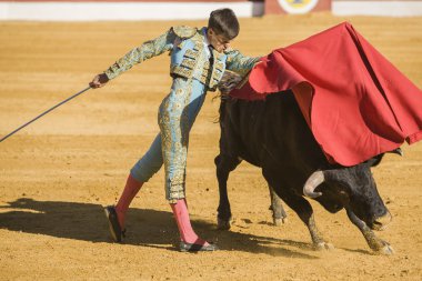 Boğa içinde koltuk değneği ile İspanyol Boğa güreşçisi boğa güreşi