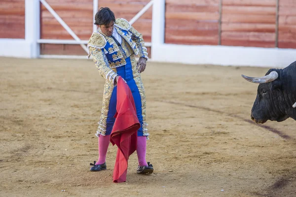 De Spaanse stierenvechter Francico Rivera stierenvechten met de cr — Stockfoto