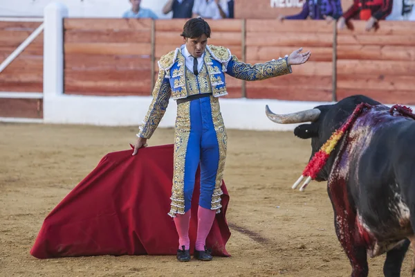 The Spanish Bullfighter Francico Rivera bullfighting with the cr — Stock Photo, Image