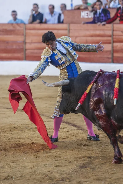 Испанский боец-бык Франсико Ривера дрался с быком. — стоковое фото