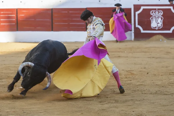 İspanyolca Boğa güreşçisi Curro ile kamu tebrik Diaz onun — Stok fotoğraf