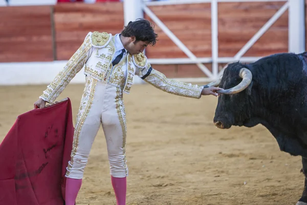 O toureiro espanhol Curro Diaz cumprimentando o público com a sua — Fotografia de Stock