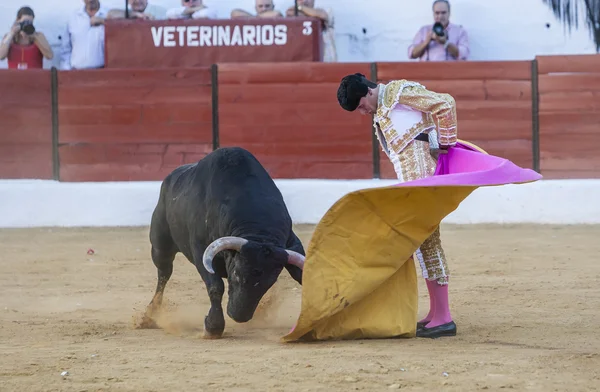 Il torero spagnolo Jose Carlos Venegas corrida con th — Foto Stock