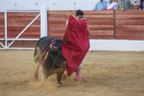 Der spanische Stierkämpfer jose carlos venegas stierkampf mit th — Stockfoto