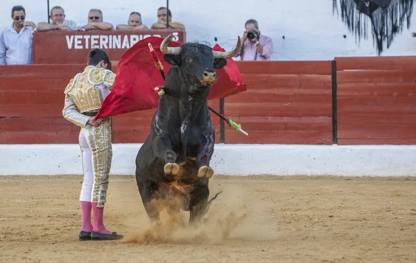 De Spaanse stierenvechter Jose Carlos Venegas stierenvechten met th — Stockfoto