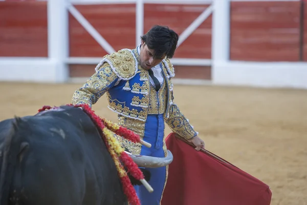 The Spanish Bullfighter Francico Rivera bullfighting with the cr — Stock Photo, Image