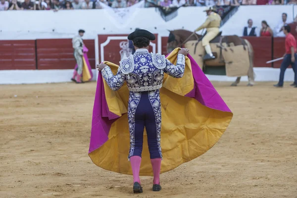 Boğa içinde koltuk değneği ile İspanyol Boğa güreşçisi boğa güreşi — Stok fotoğraf