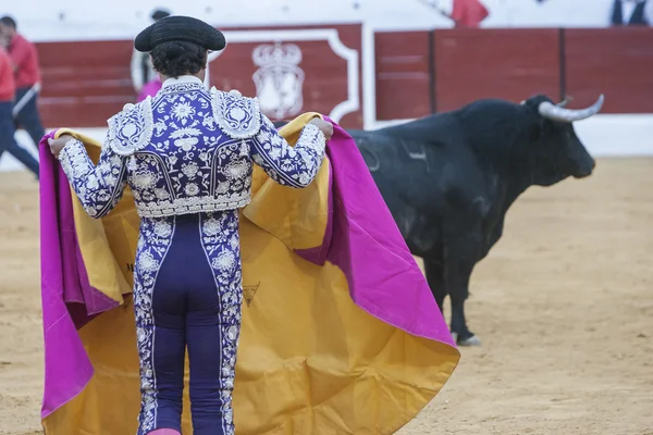 Der spanische Stierkampf mit der Krücke im Stier — Stockfoto
