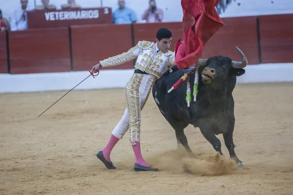 O toureiro espanhol Jose Carlos Venegas touradas com th — Fotografia de Stock