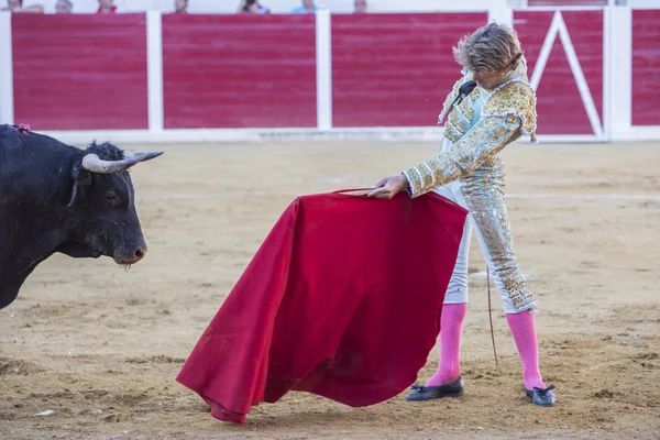 The Spanish Bullfighter Manuel Escribano bullfighting with the c — Stock Photo, Image